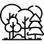 Nadleśnictwo